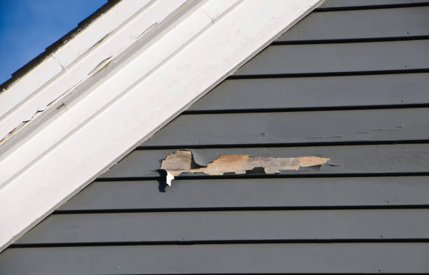 Custom Trim and Detailing for Siding in Ada, MN